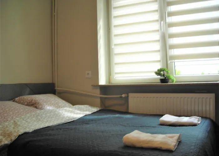 Apartamenty Centrum Palacowa