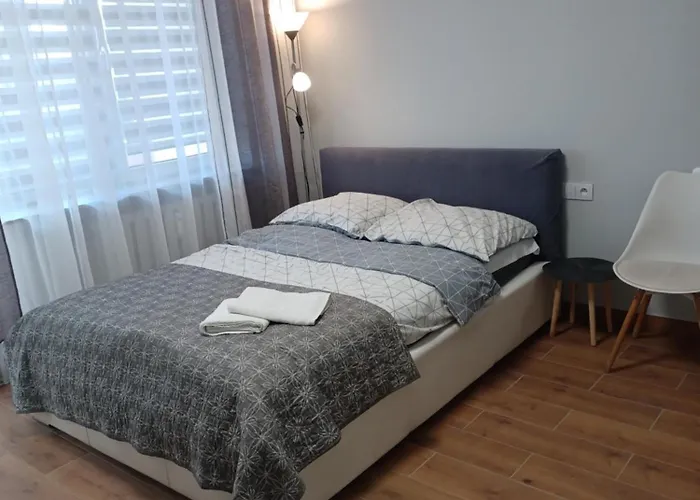 Apartamenty Centrum Palacowa